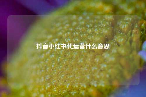 抖音小红书代运营什么意思