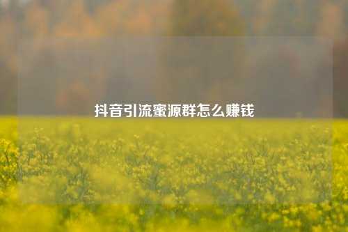 抖音引流蜜源群怎么赚钱