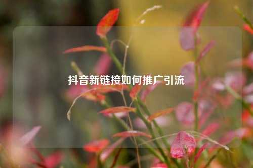 抖音新链接如何推广引流