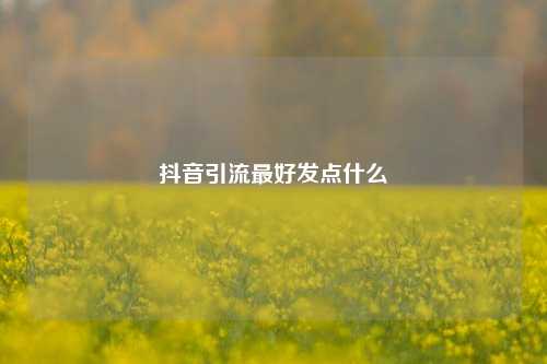 抖音引流最好发点什么